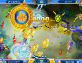 云开足球平台最新版